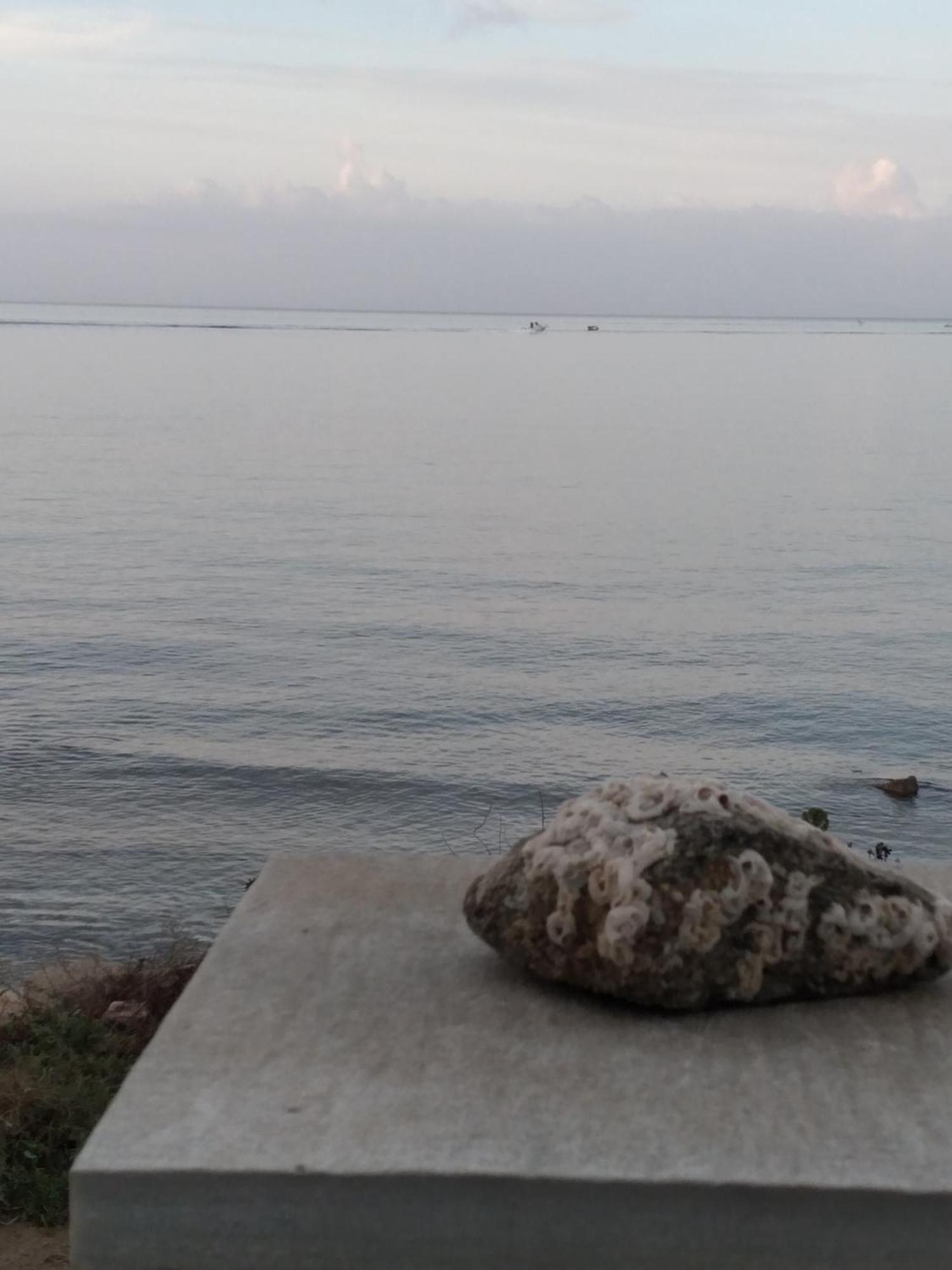 דירות Naxos City Albatross Seafront House מראה חיצוני תמונה