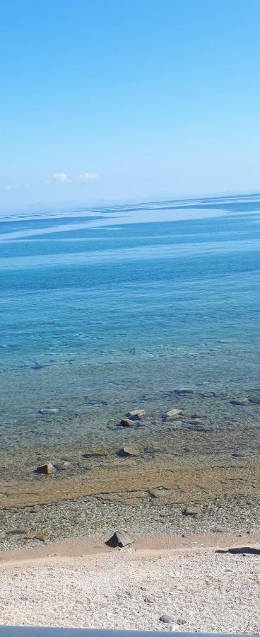 דירות Naxos City Albatross Seafront House מראה חיצוני תמונה